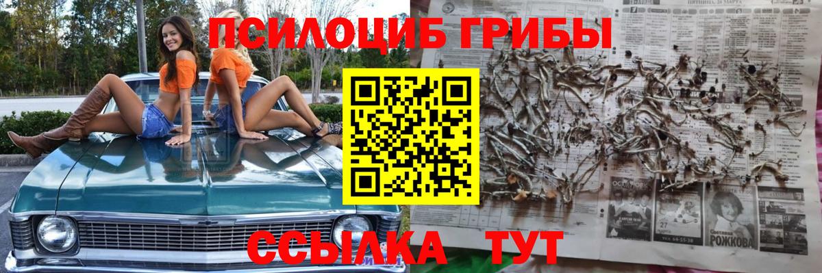 Дербент  Галлюциногенные грибы Cubensis  Вход с VPN 